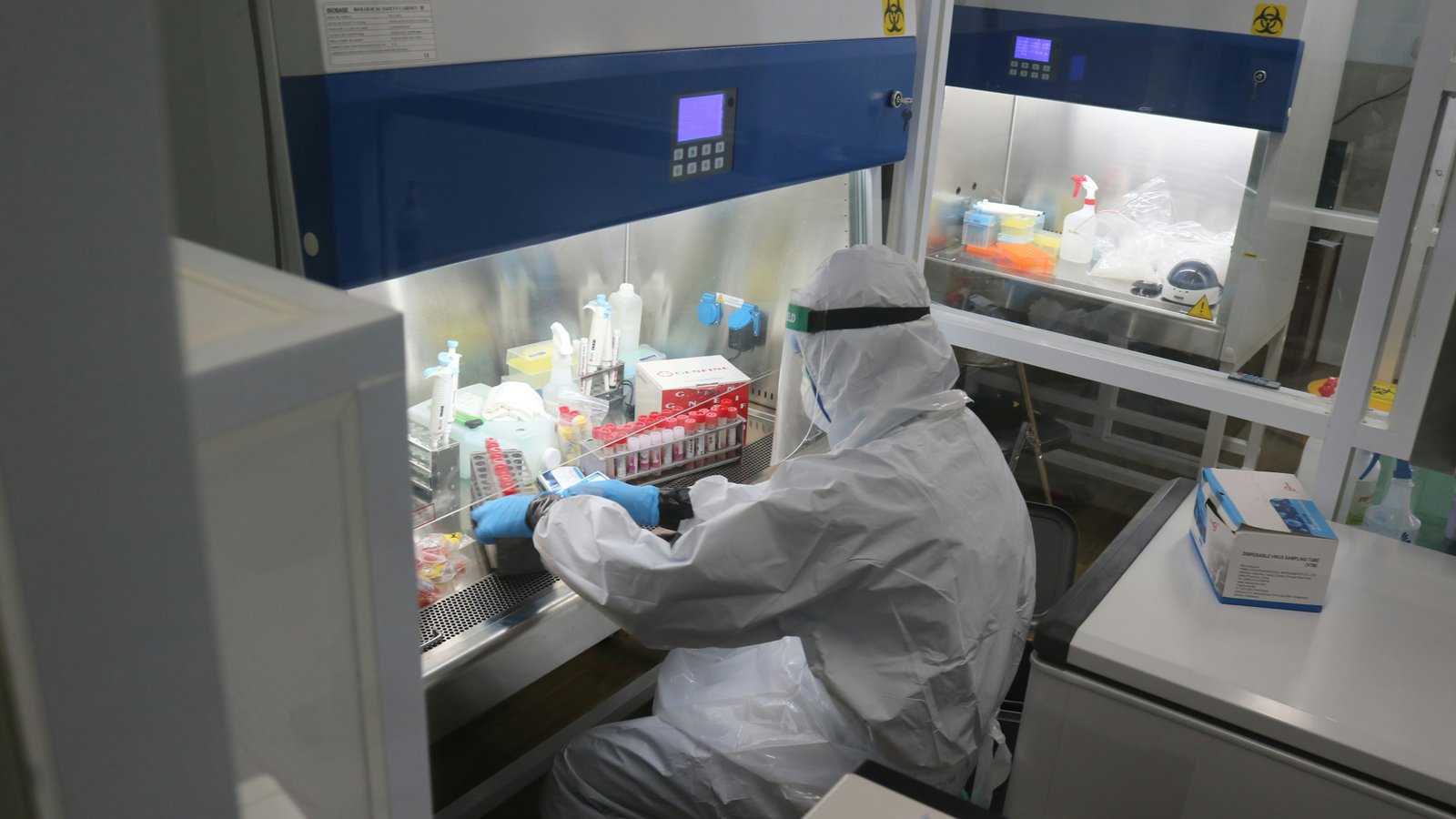 Biología molecular y PCR